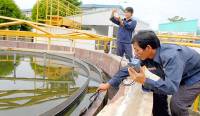 Phát triển kinh tế xanh phải bắt đầu từ tiêu dùng xanh