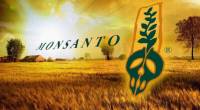 LETTER FROM VIETNAM VETERAN TO NGO ROOM TO READ, ABOUT TAKING MONEY FROM MONSANTO